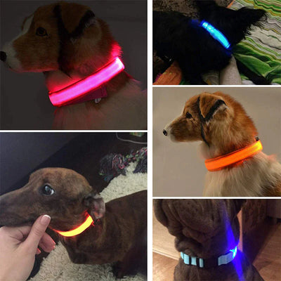 LED Adjustable Dog Collar Blinking Flashing Light Up Glow Pets Safety Waterproof